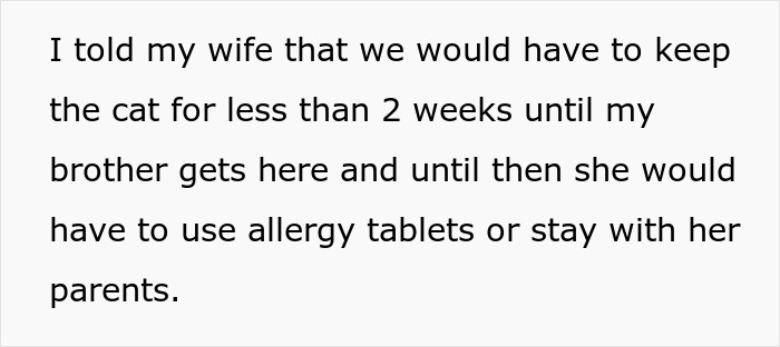 Man Disappoints Wife By Suggesting She Move Out To Avoid Moving His Senior Cat She&rsquo;s Allergic To
