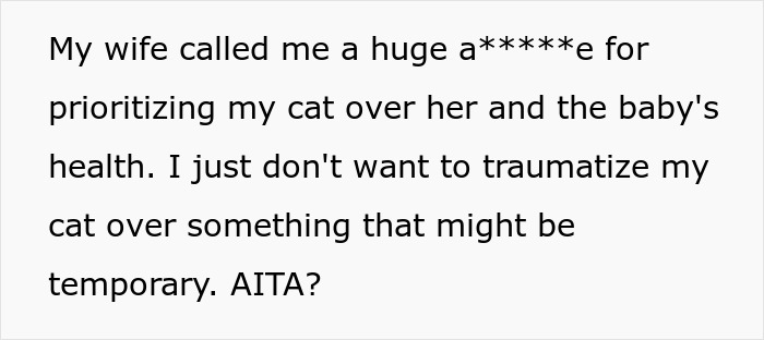 Man Disappoints Wife By Suggesting She Move Out To Avoid Moving His Senior Cat She&rsquo;s Allergic To