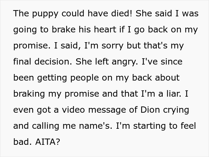 Woman Changes Her Mind About Giving A Puppy To Nephew When He Tries To Steal It, Asks If It&rsquo;s Wrong