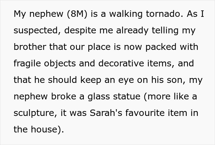 Dad Is Furious His Sister Is Asking Him For $4k In Damages After Nephew Wreaks Havoc