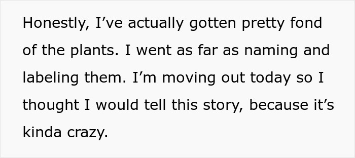 Woman Is Done With Vegan Roommate&rsquo;s Daily Shaming Of Her Diet, Comes Up With Genius Revenge