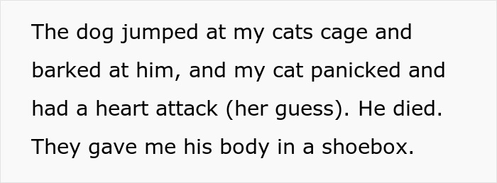Man Disappoints Wife By Suggesting She Move Out To Avoid Moving His Senior Cat She&rsquo;s Allergic To