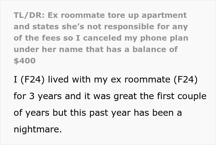 Trashy Roommate Refuses To Pay For Damages, Woman Finds Another Way To Take Her Money