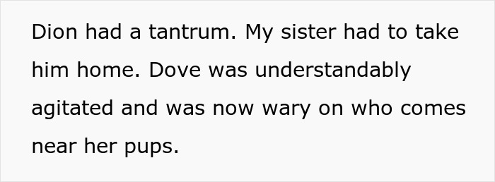 Woman Changes Her Mind About Giving A Puppy To Nephew When He Tries To Steal It, Asks If It&rsquo;s Wrong