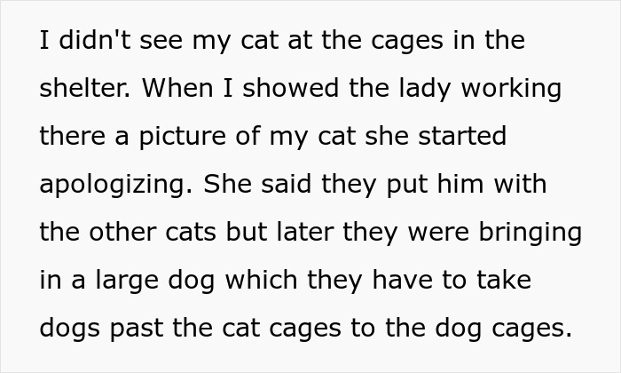 Man Disappoints Wife By Suggesting She Move Out To Avoid Moving His Senior Cat She&rsquo;s Allergic To