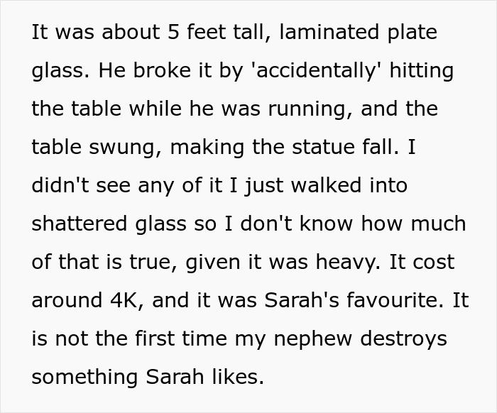 Dad Is Furious His Sister Is Asking Him For $4k In Damages After Nephew Wreaks Havoc