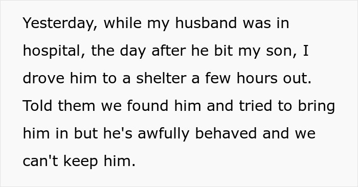 “I Dropped My MIL’s Dog Off As A Stray At A Shelter, And I Don’t Feel Bad” “I Dropped My MIL’s Dog Off As A Stray At A Shelter, And I Don’t Feel Bad”