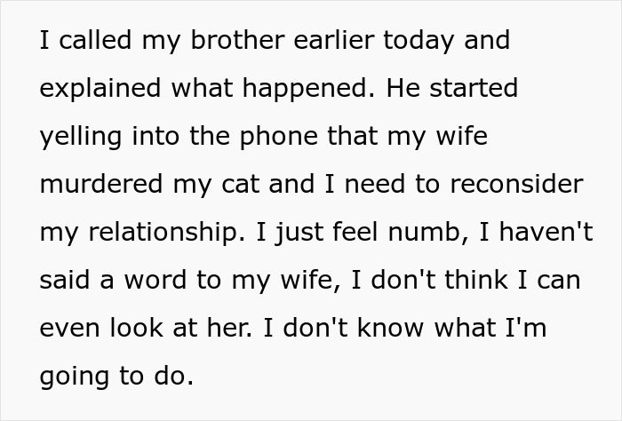 Man Disappoints Wife By Suggesting She Move Out To Avoid Moving His Senior Cat She&rsquo;s Allergic To