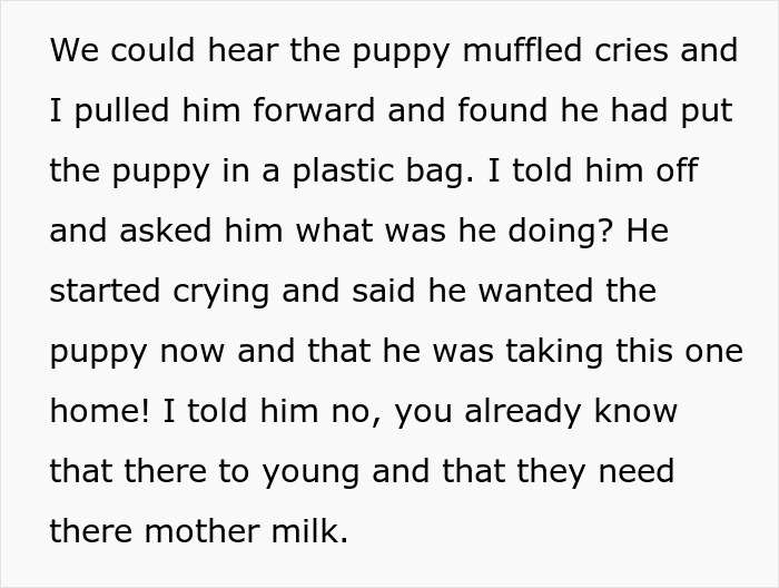 Woman Changes Her Mind About Giving A Puppy To Nephew When He Tries To Steal It, Asks If It&rsquo;s Wrong