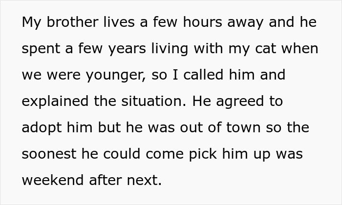 Man Disappoints Wife By Suggesting She Move Out To Avoid Moving His Senior Cat She&rsquo;s Allergic To