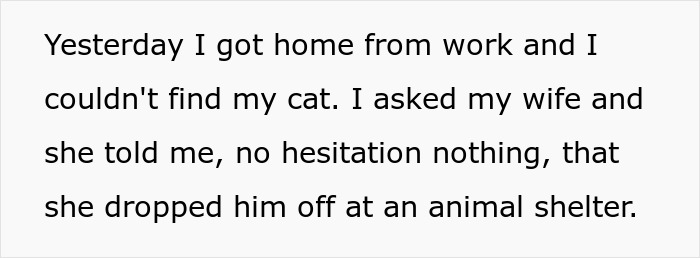 Man Disappoints Wife By Suggesting She Move Out To Avoid Moving His Senior Cat She&rsquo;s Allergic To