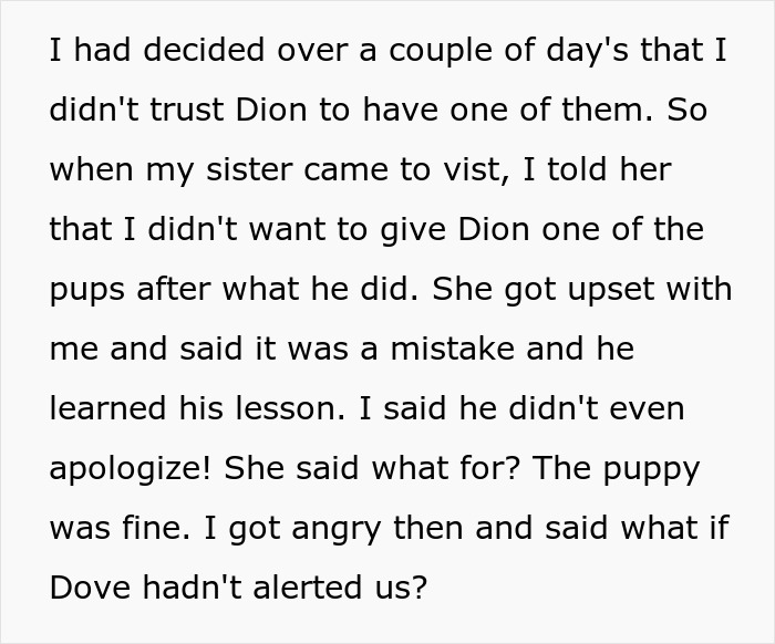 Woman Changes Her Mind About Giving A Puppy To Nephew When He Tries To Steal It, Asks If It&rsquo;s Wrong