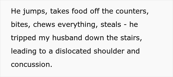 “I Dropped My MIL’s Dog Off As A Stray At A Shelter, And I Don’t Feel Bad” “I Dropped My MIL’s Dog Off As A Stray At A Shelter, And I Don’t Feel Bad”