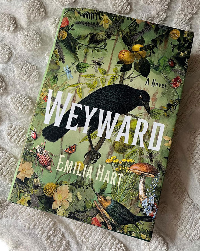 DEBUT NOVEL: Weyward By Emilia Hart