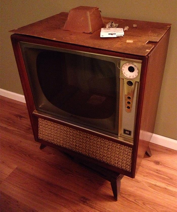 50 Best Of All Time “Today I Learned” Facts To Keep The Brain Active And Healthy