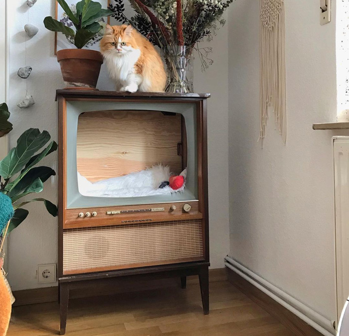DIY cat tree made from vintage TV, with fluffy cat perched on top.