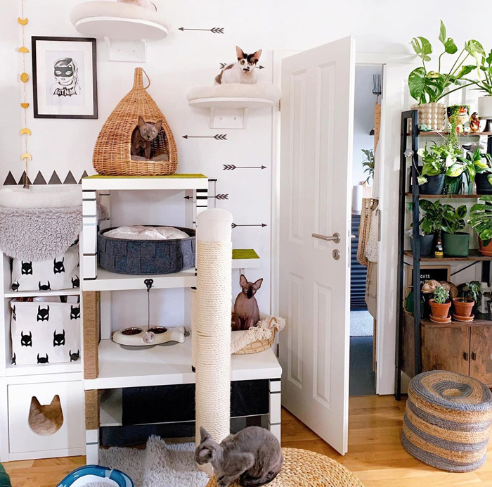 DIY cat tree tower with shelves, cozy beds, and playful cats in a stylish, plant-filled room.