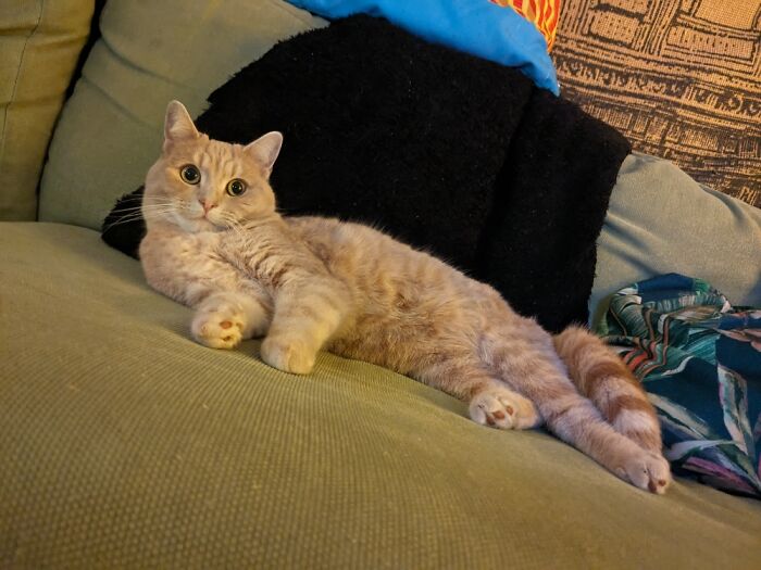 My Girl Relaxing Before Christmas Eve