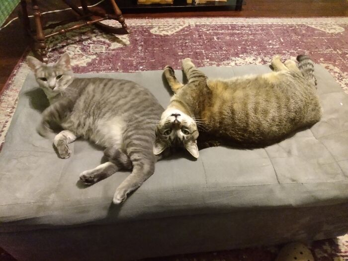 I Finally Got Both Their Faces. Bouche Is On The Left, And Audi Is The Doofus On The Right