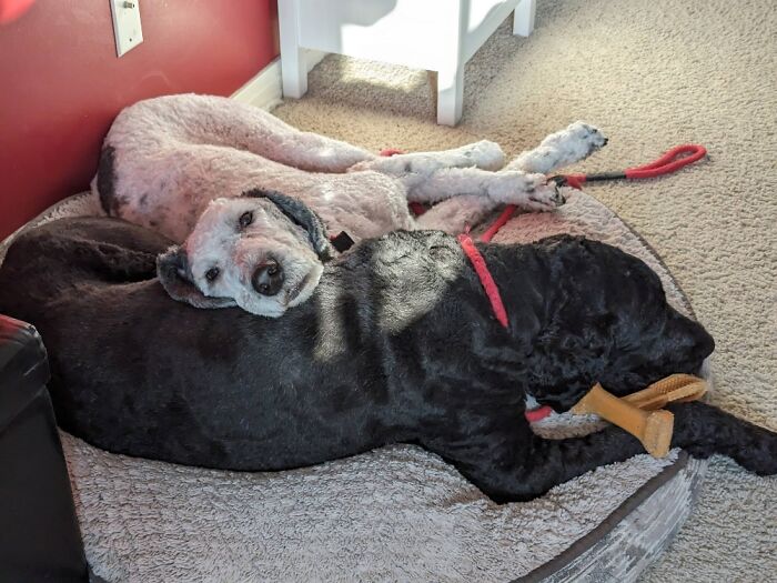 Getting Ready For Work And Apparently Disturbing Someone's Peace And Quiet! :d