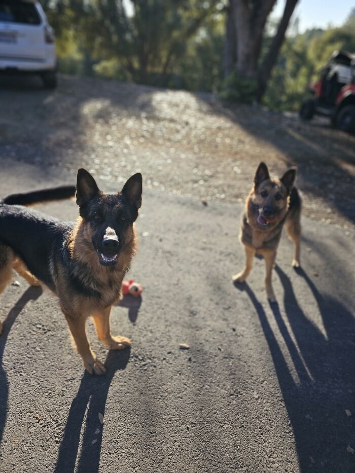 I Went Thru A Mental Circus Trying To Pick Just One Of My Faves