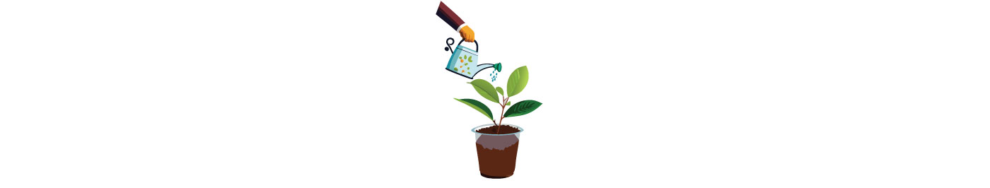 Hand watering a young camellia plant in a brown pot with green leaves, illustrating growing lush camellias. Hand watering a young camellia plant in a brown pot with green leaves, illustrating growing lush camellias.