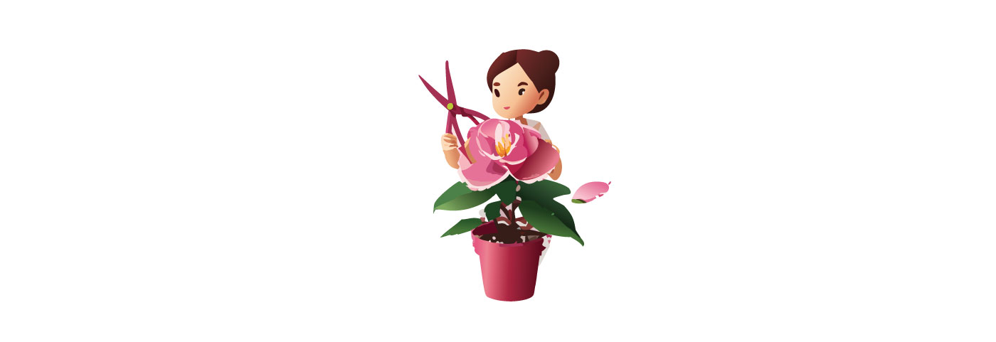 Woman pruning lush camellias flower in a pot, illustrating care tips for growing healthy camellias at home. Woman pruning lush camellias flower in a pot, illustrating care tips for growing healthy camellias at home.
