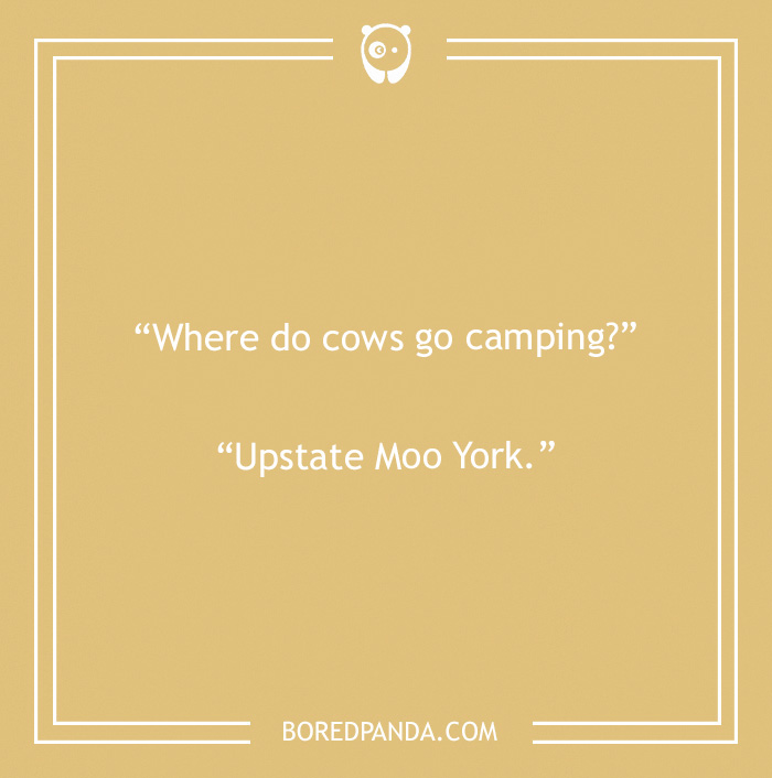 134 Camping Jokes That Are A Real Wild Ride