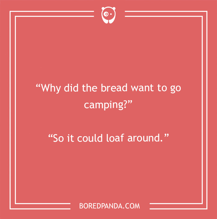134 Camping Jokes That Are A Real Wild Ride