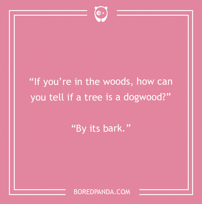 134 Camping Jokes That Are A Real Wild Ride