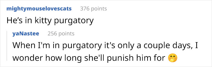 Guy Has To Endure Cat&rsquo;s Pettiness When He Doesn&rsquo;t Visit GF For A Month, Netizens Love It