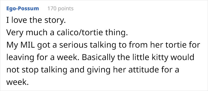 Guy Has To Endure Cat&rsquo;s Pettiness When He Doesn&rsquo;t Visit GF For A Month, Netizens Love It