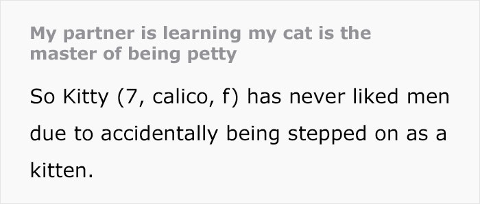 Guy Has To Endure Cat&rsquo;s Pettiness When He Doesn&rsquo;t Visit GF For A Month, Netizens Love It