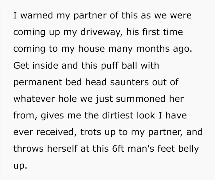 Guy Has To Endure Cat&rsquo;s Pettiness When He Doesn&rsquo;t Visit GF For A Month, Netizens Love It