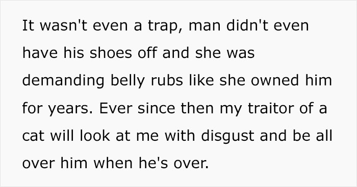 Guy Has To Endure Cat&rsquo;s Pettiness When He Doesn&rsquo;t Visit GF For A Month, Netizens Love It