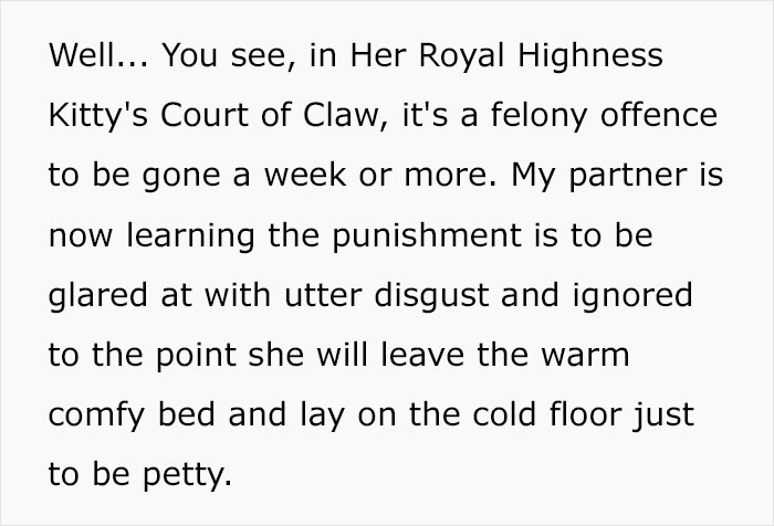 Guy Has To Endure Cat&rsquo;s Pettiness When He Doesn&rsquo;t Visit GF For A Month, Netizens Love It