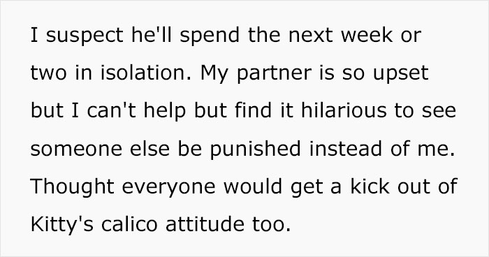 Guy Has To Endure Cat&rsquo;s Pettiness When He Doesn&rsquo;t Visit GF For A Month, Netizens Love It