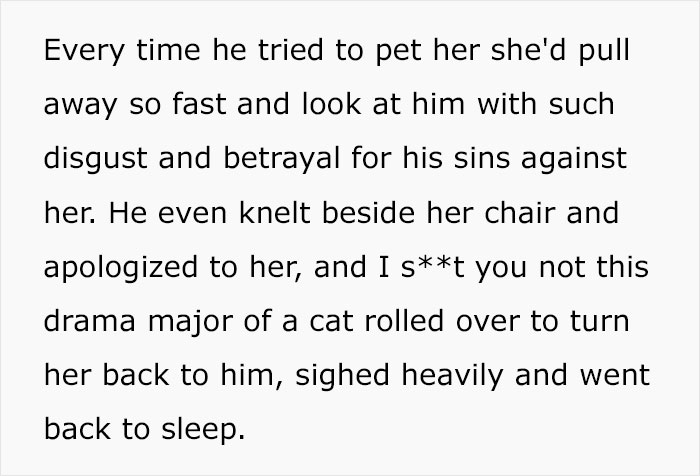 Guy Has To Endure Cat&rsquo;s Pettiness When He Doesn&rsquo;t Visit GF For A Month, Netizens Love It