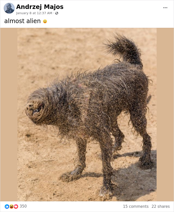 No-Ordinary-Eyes-Pics