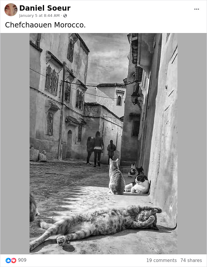 No-Ordinary-Eyes-Pics