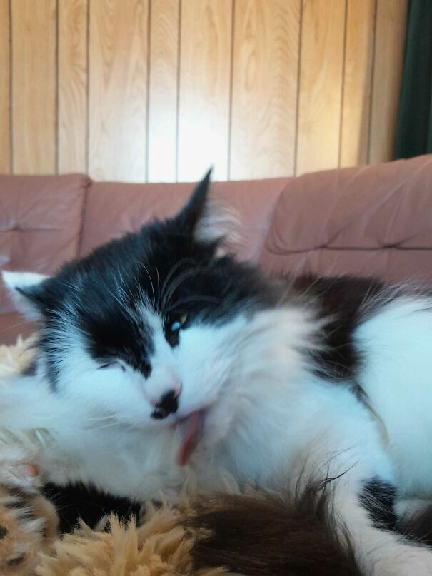 Nossshing To Ssee, Jusssst Walk On