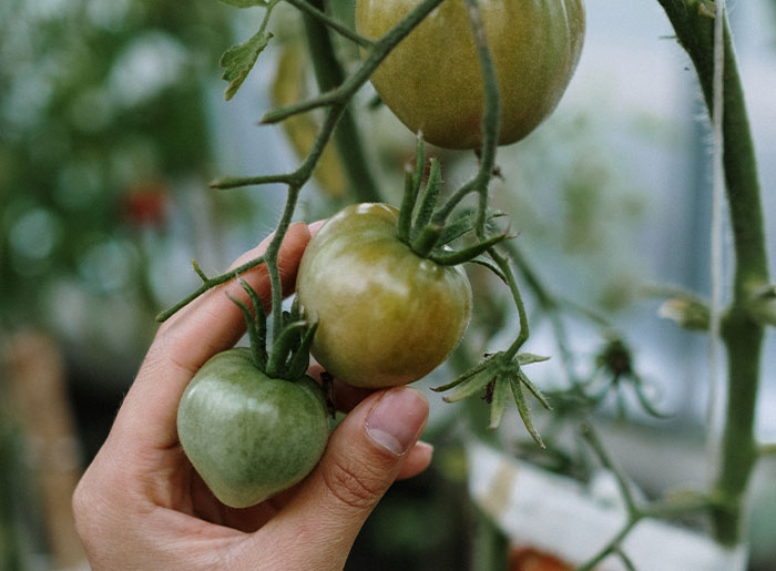 40 Cheaper Options People Have Realized They Actually Prefer To The More Expensive Alternatives