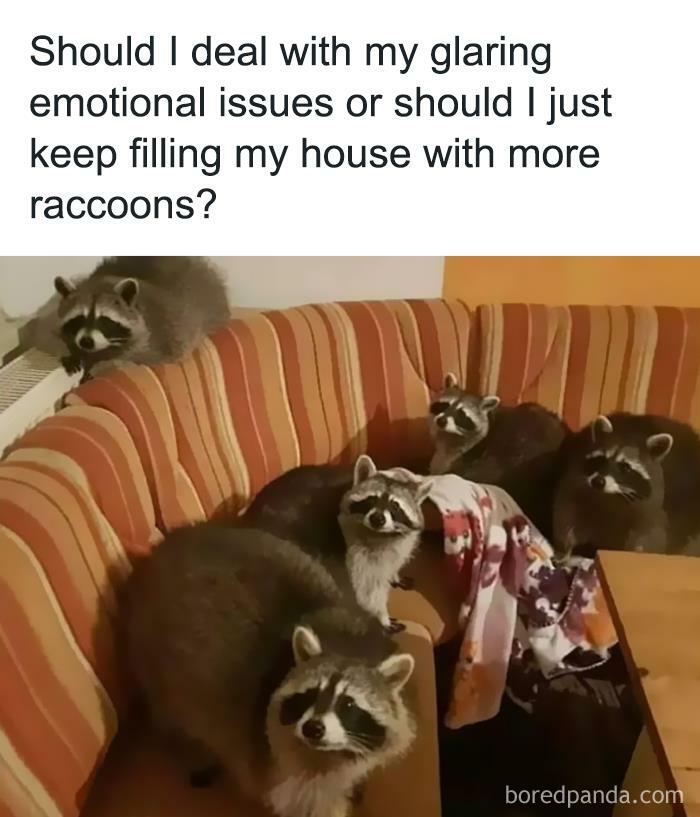 Hilarious-Funny-Animal-Memes