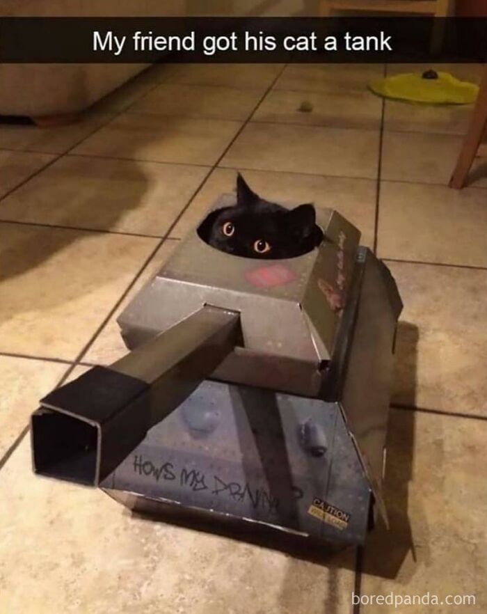 Hilarious-Funny-Animal-Memes