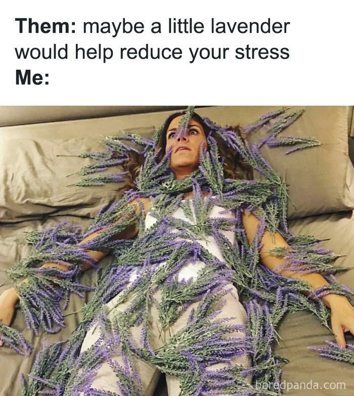 Person covered in lavender branches on a bed, humorously addressing work-from-home stress.