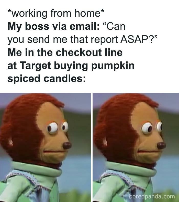 Funny WFH meme showing puppet's surprised face when asked for a report while buying candles at Target.