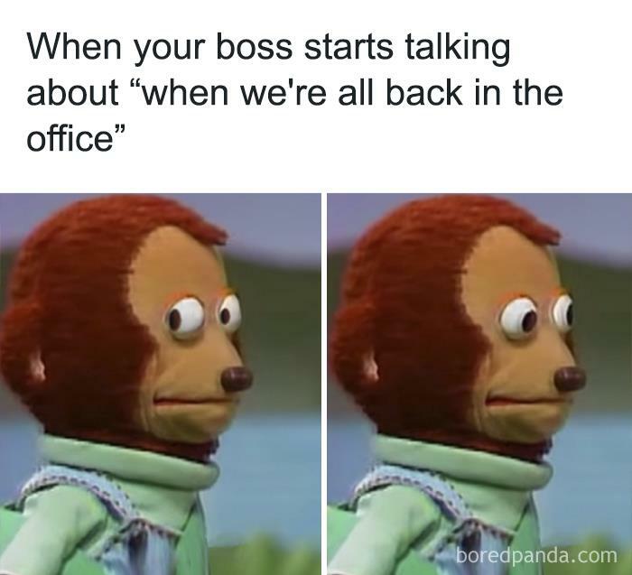 Funny-Work-From-Home-Memes