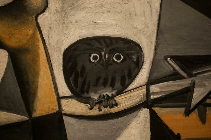 30 Lucky People Share The Best 'Treasures' They've Found While Shopping Secondhand