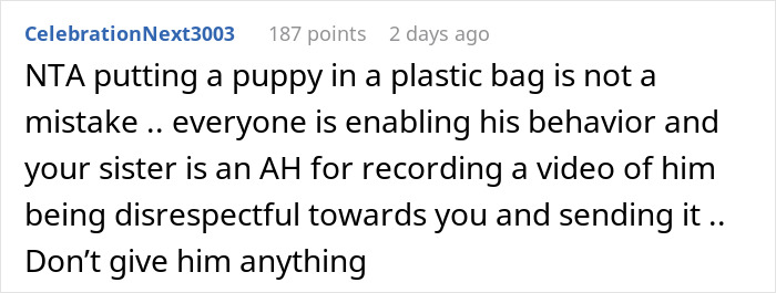 Woman Changes Her Mind About Giving A Puppy To Nephew When He Tries To Steal It, Asks If It&rsquo;s Wrong