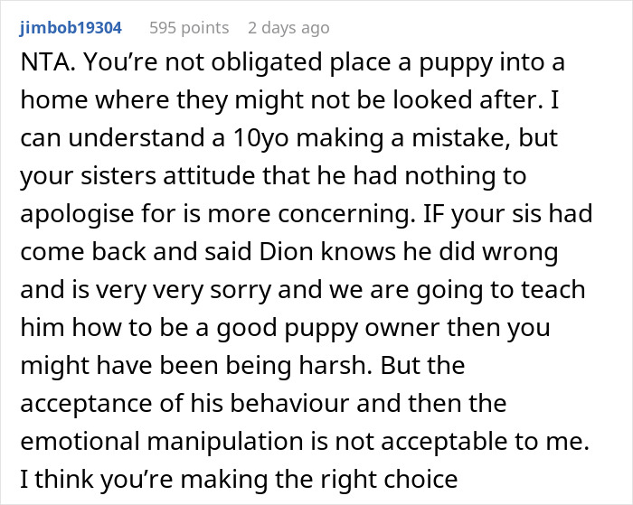 Woman Changes Her Mind About Giving A Puppy To Nephew When He Tries To Steal It, Asks If It&rsquo;s Wrong